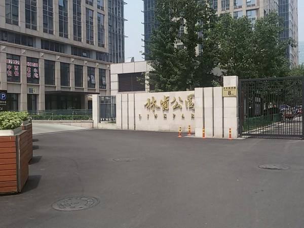 亦庄林肯公园公寓楼精装修工程