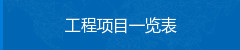 工程项目一览表